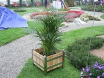 Blumenkübel 60 x 60 x 40 cm  Innenmaß / Pflanzkästen aus Edelstahl und Holz